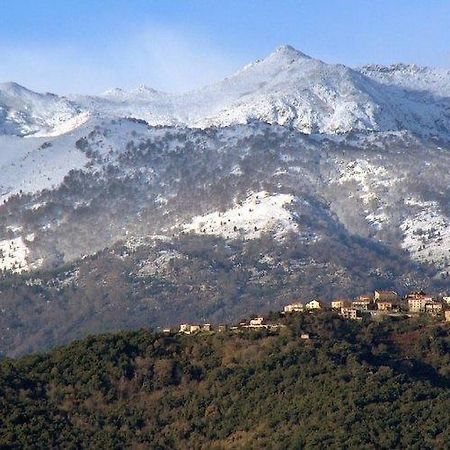 Отель Casa Bonino Prunelli-di-Fiumorbo Экстерьер фото